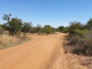 42@ Ditholo Game Lodge - 8