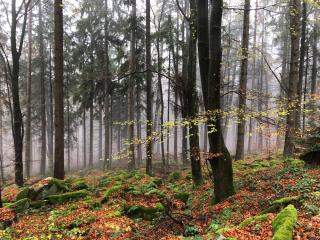 Romantikhütten 1 & 24 - 1