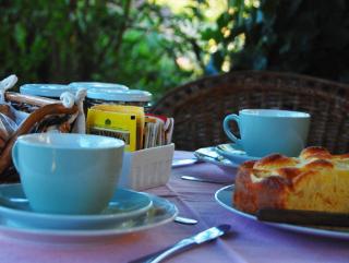 Le Camelie - Brissago Valtravaglia - 2