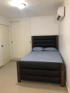 Linda casa 12 Malecon Central Park Acuario - Mazatlán - 7