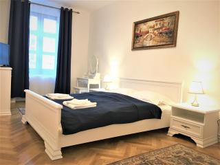 White Wolf Apartment - Braşov - 1