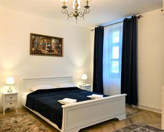 White Wolf Apartment - Braşov - 6