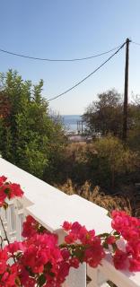 Nikos studios - Livadia - 9