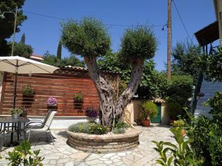 Flowers studios - Benitses - 5