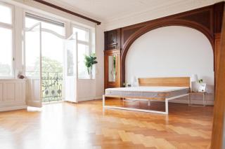 Green Residence Boutique Lofts & Villa am Park - Offenbach - 0