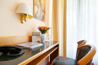 Hotel Goldener Fasan - Oranienbaum-Wörlitz - 3