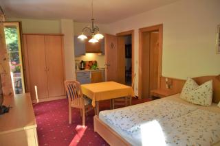 Steglacher Hof - Mayrhofen - 1