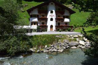 Steglacher Hof - Mayrhofen - 9