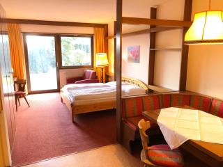 Apartments Feyerlin - 8