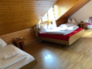 central beauty scenery apartment - Interlaken - 4