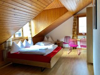 central beauty scenery apartment - Interlaken - 5