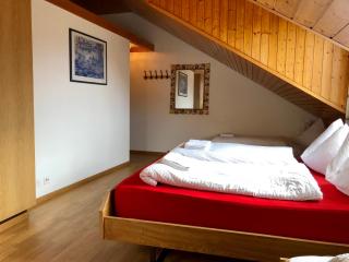 central beauty scenery apartment - Interlaken - 1
