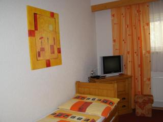 Hotel Podlesí - Podlesí - 9