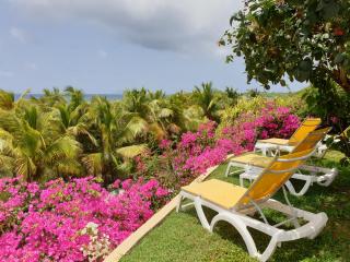 Villa Guadeloupe Saint François Accès Mer Piscine IGUANA BAY - Villa Zagadi - Saint-François - 5