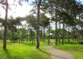 Apartments in Lignano Sabbiadoro 31386 - Lignano Sabbiadoro - 2