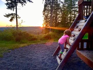 Chehalis Camping Resort One-Bedroom Cabin 2 - Onalaska - 9