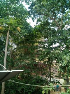 Agus Lodge - Labuan Bajo - 0