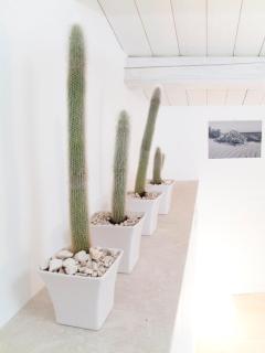 Le Stanze Del Sole - 1