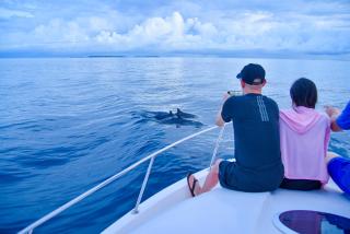 Rashu Hiyaa - Dhiffushi - 3