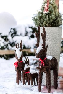 Ferienhaus Hohenwarter - 8