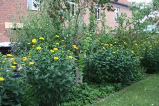 Hotel und Restaurant Knesebecker Hof - Knesebeck - 1