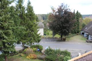 Mitten in Braunlage mit tollem Ausblick - Braunlage - 1