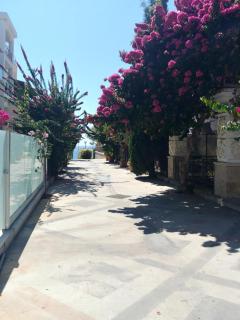 Galatex Beach Apartment - Limassol - 9