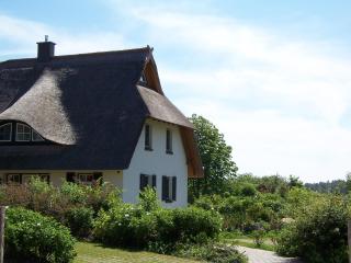 Ferienhäuser Fischland - Dierhagen - 8