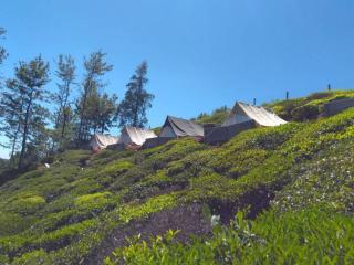 Swiss Tents in Ooty, Tn - Ooty - 0