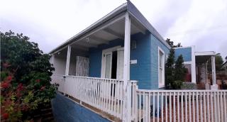 Pascal's of Napier - Napier - 5