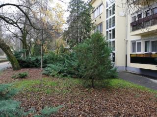 Tulip Family Apartments - Eger - 0