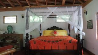 Tingalaya's Retreat - Negril - 3