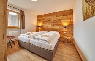 Glemm Lodge Apartments - JOKER CARD im Sommer inklusive - Saalbach-Hinterglemm - 5