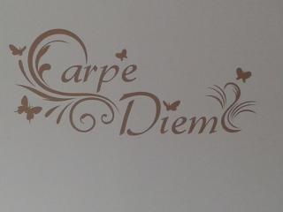 Room "Carpe Diem" - Zele - 7