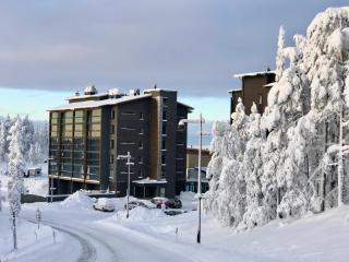 LEVI Chalets kolmio 65 m2 ylin kerros - 9