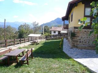 Apartamentos Rurales Los Picos de Redo - Camaleño - 5