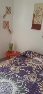 Colibrí B&B - Città del Messico - 8