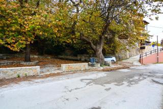 The Theater of Dreams - 7