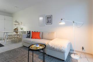 Vasko luxurious suites, Davvi - Rovaniemi - 3