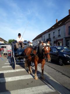 Gite de Pêche - Pont-de-Poitte - 5