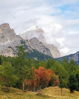 Hotel Rosalpina - Rocca Pietore - 3