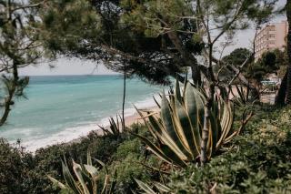 Casa Agata - Miami Platja - 8