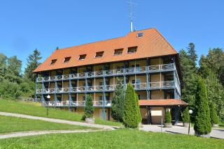 Schwarzwald Parkhotel - Königsfeld im Schwarzwald - 8