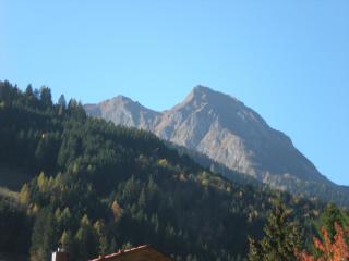 Haus Zerza - Dorfgastein - 1