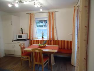 Haus Zerza - Dorfgastein - 1