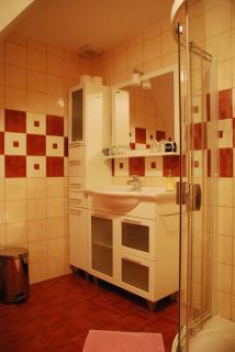 Farm Stay Rotovnik - Plesnik - Slovenj Gradec - 1