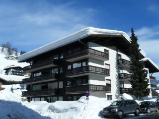Next to Zwölferkogel include Jokercard - Saalbach-Hinterglemm - 8