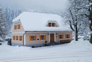 Farm Stay Rotovnik - Plesnik - Slovenj Gradec - 9