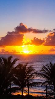 Beach house pitinga - 4