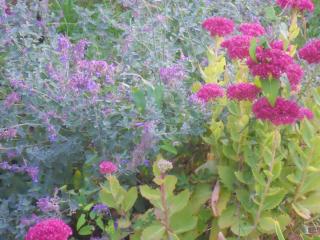 Logis Du Patis Roux - 2